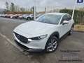 Mazda CX-30 2.0i SKYACTIV-G Exclusive-Line*REPRISE POSSIBLE* Wit - thumbnail 1