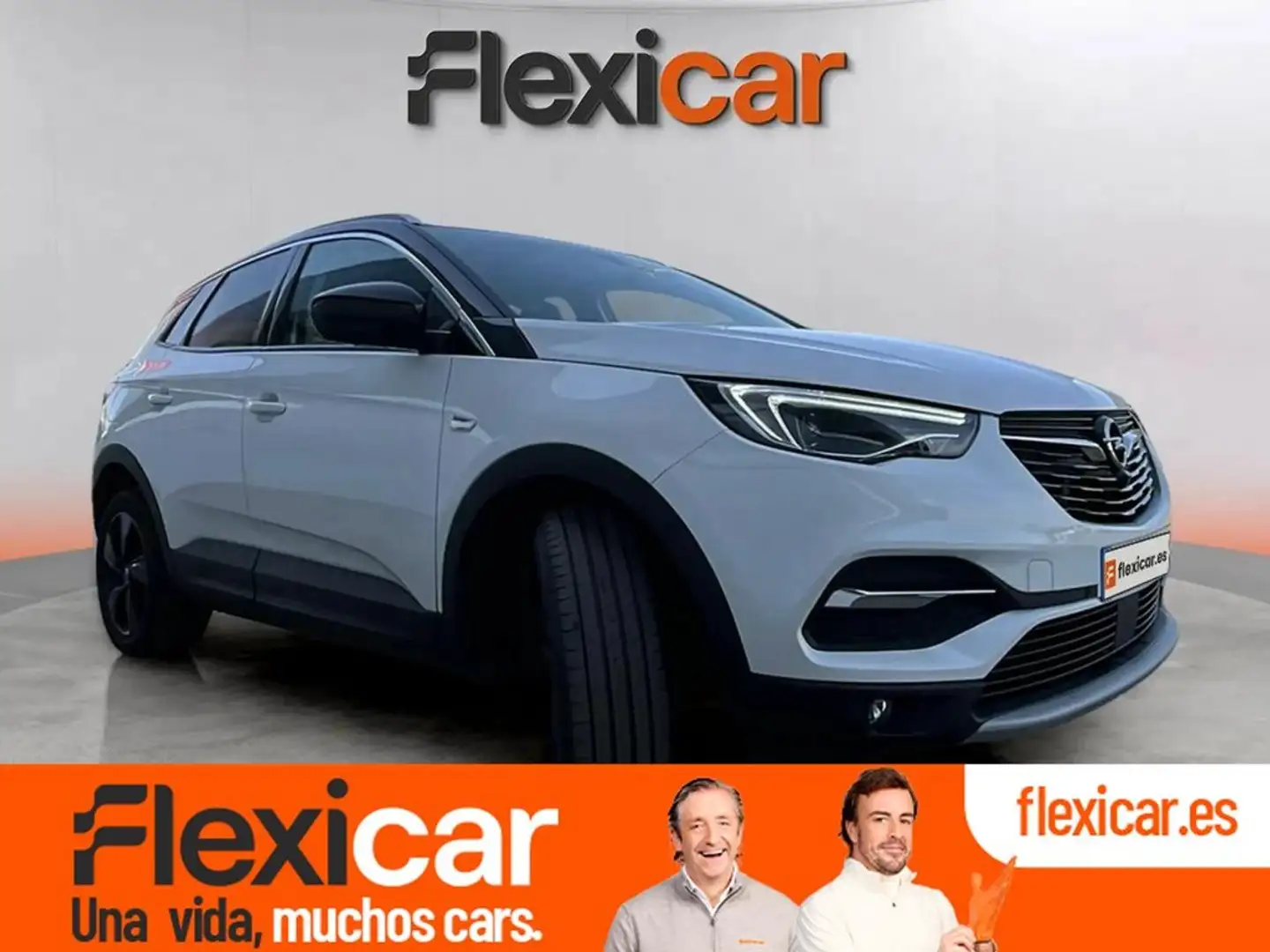 Opel Grandland X 1.5CDTi S&S 120 Aniversario 130 Blanco - 1