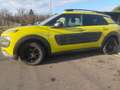 Citroen C4 Cactus Shine*1.Hand*Winterreifen* Gelb - thumbnail 4