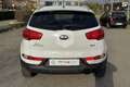 Kia Sportage Sportage 1.6 ECO GPL+ 2WD Active Bianco - thumbnail 6