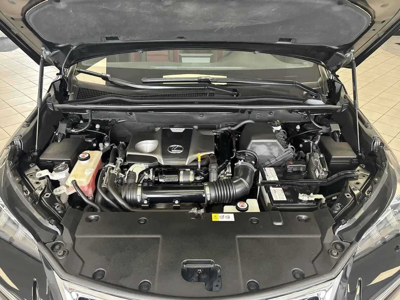 Lexus NX photo Lexus NX