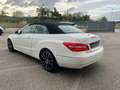 Mercedes-Benz E 220 Classe E - Cabrio Bianco - thumbnail 7