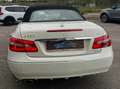 Mercedes-Benz E 220 Classe E - Cabrio Bianco - thumbnail 6