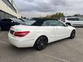 Mercedes-Benz E 220 Classe E - Cabrio Bianco - thumbnail 5