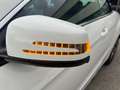 Mercedes-Benz E 220 Classe E - Cabrio Bianco - thumbnail 9