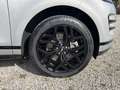 Land Rover Range Rover Evoque P250 R-Dynamic SE Argent - thumbnail 16