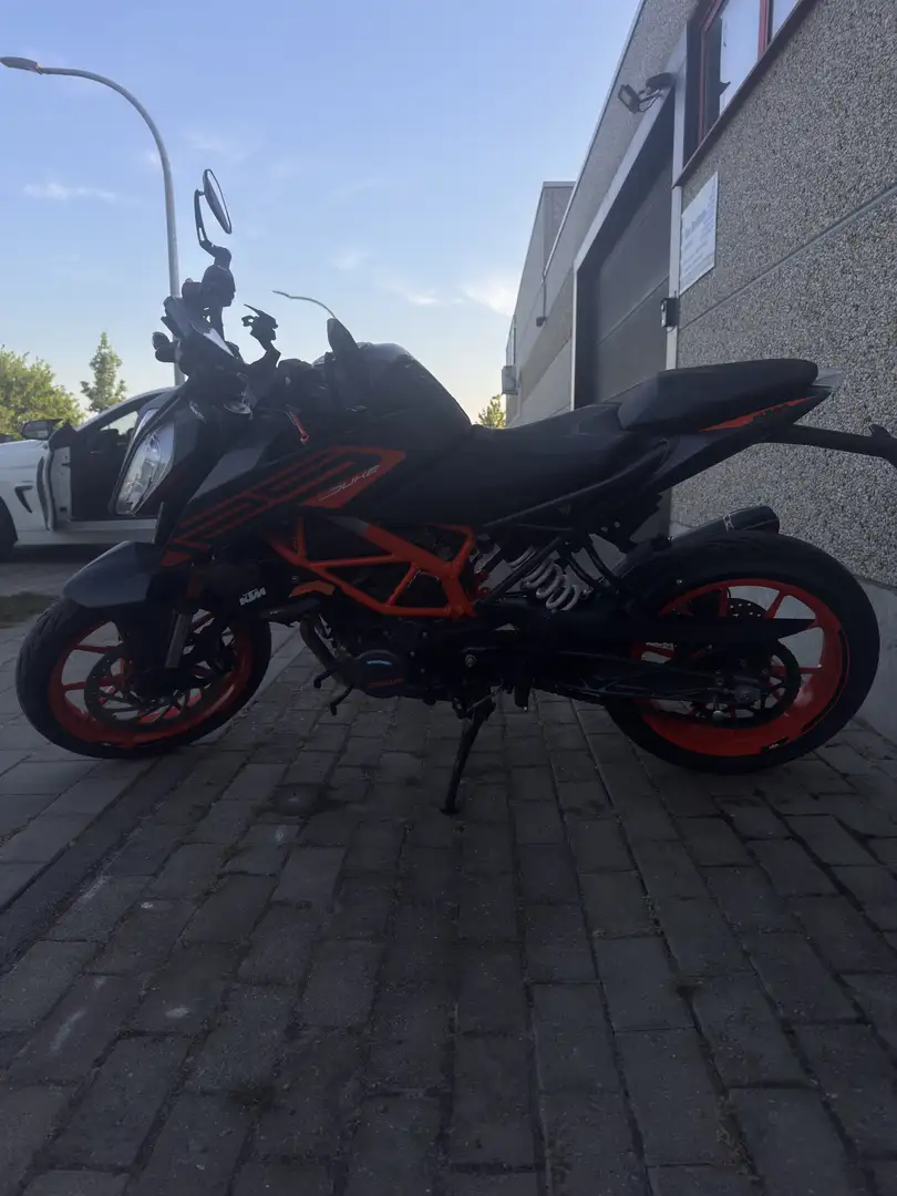 KTM 125 Duke 2022 Oranje - 2