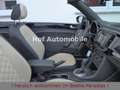 Volkswagen Beetle 1.4TSI DSG Exclusive Leder Xenon Navi SHZ Gris - thumbnail 17