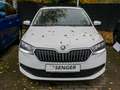 Skoda Fabia Combi 1.0 TSI Active AHK SHZ Smart Link Bianco - thumbnail 2