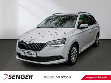 Combi 1.0 TSI Active AHK SHZ Smart Link