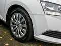 Skoda Fabia Combi 1.0 TSI Active AHK SHZ Smart Link Bianco - thumbnail 5