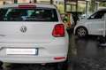 Volkswagen Polo 1.0 MPI 60 CV 5p. Trendline Wit - thumbnail 10