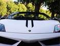 Lamborghini Gallardo 5.2 V10 LP570-4 Performante *Collectors item!* Blanco - thumbnail 18