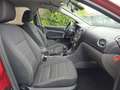 Ford Focus 1.6 Titanium |Airco|Cruise|LM velgen|Nap Rood - thumbnail 15