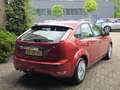 Ford Focus 1.6 Titanium |Airco|Cruise|LM velgen|Nap Rood - thumbnail 9