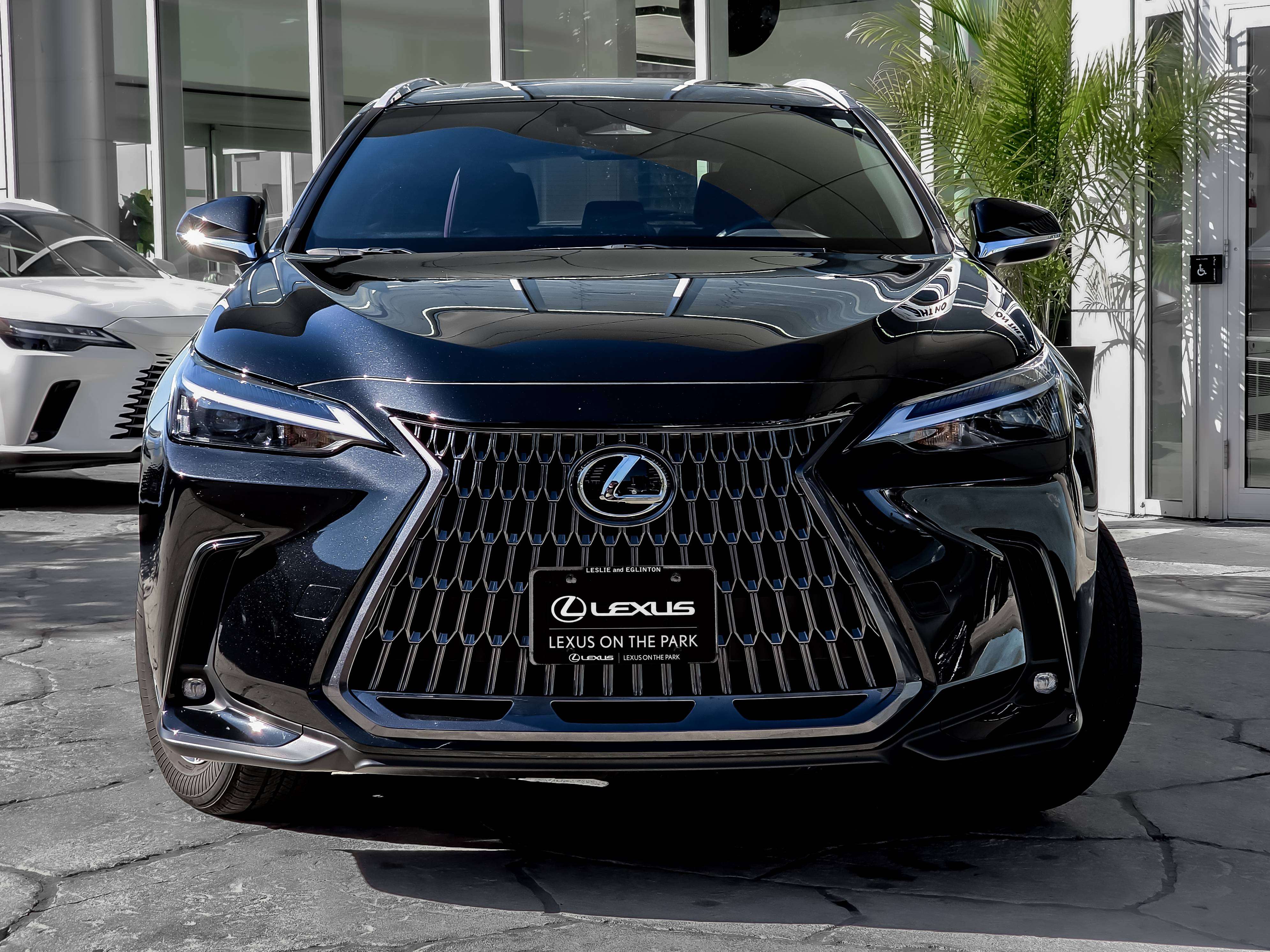 2025 Lexus NX