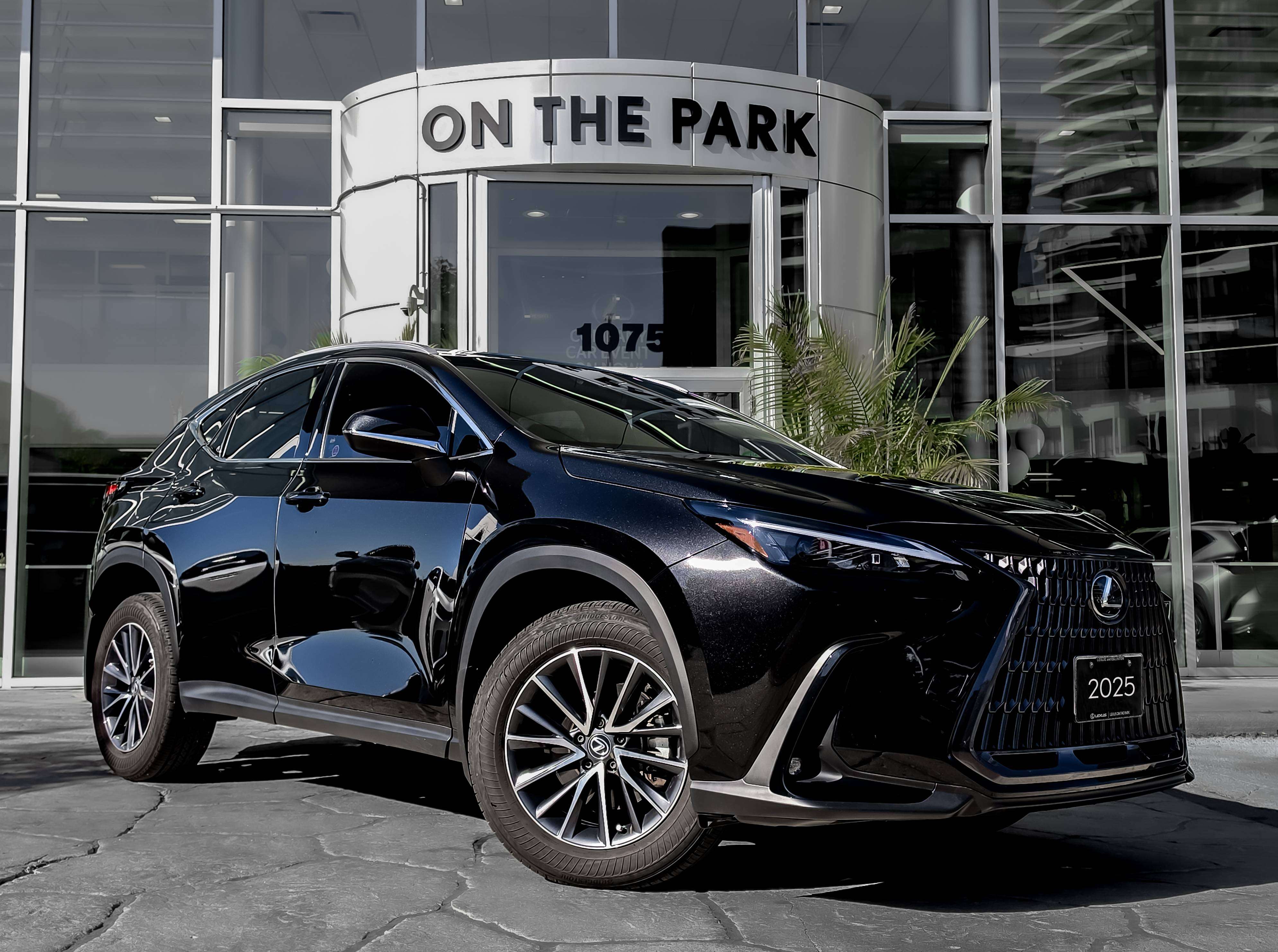 2025 Lexus NX