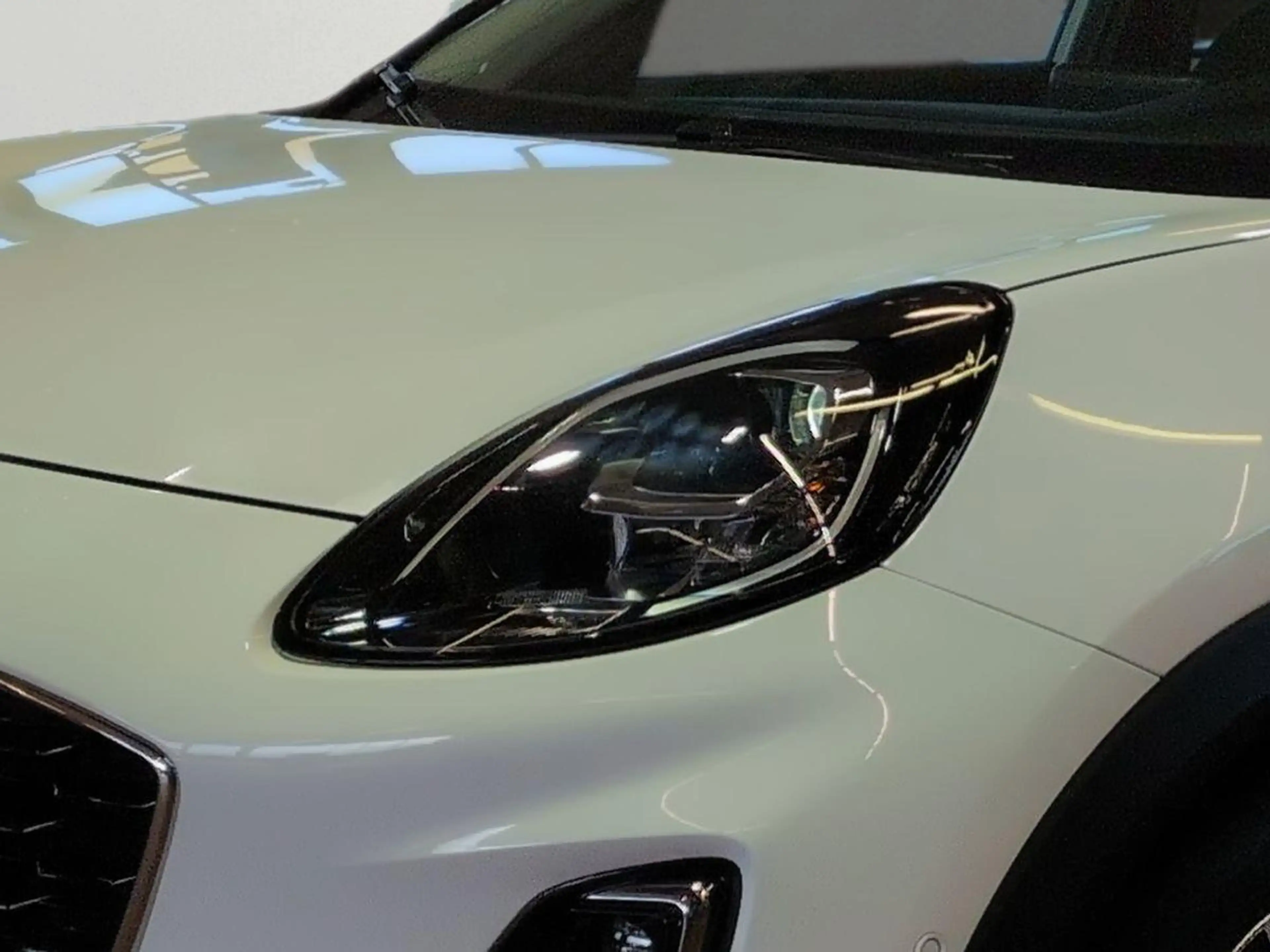 Ford Puma Titanium 1.0L / Fahrassistenz-Paket / LED — photo 13