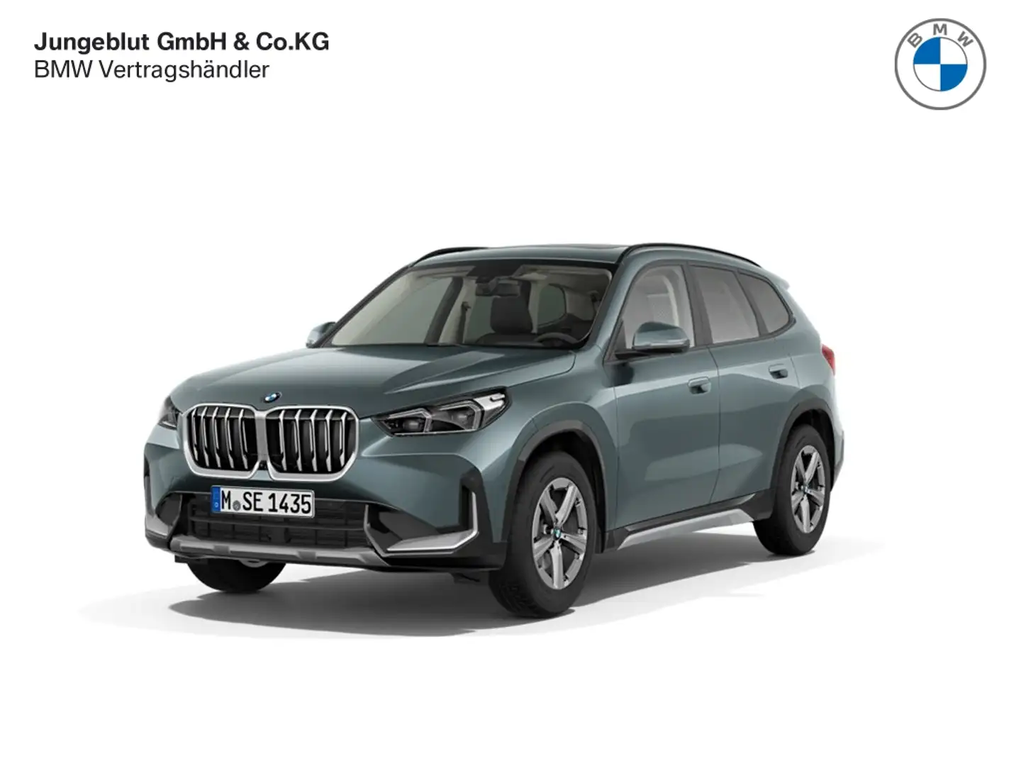 BMW X1 sDrive18i xLine HarmanKardon/AHK/Panoramadach/Head Grün - 1