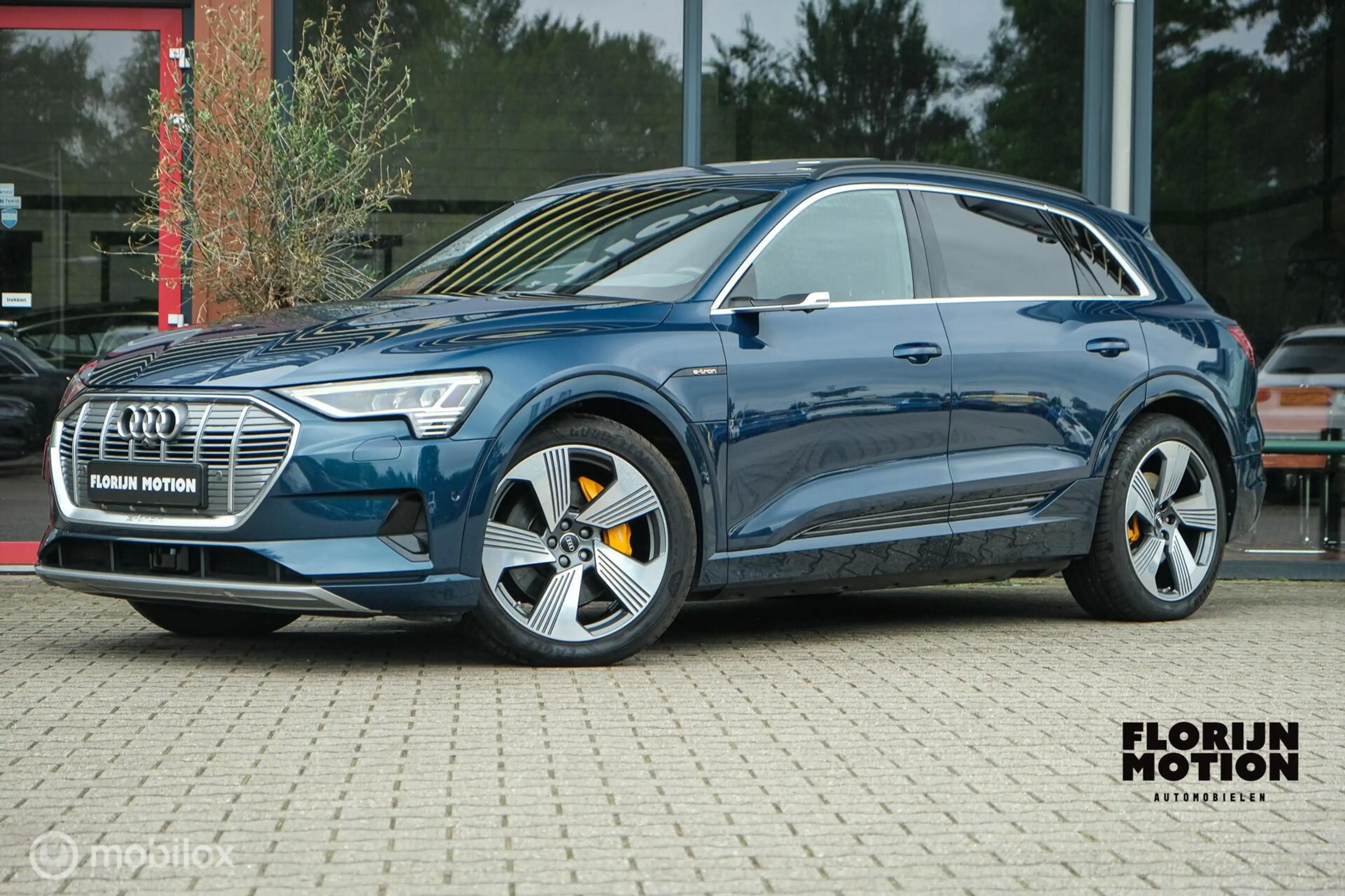 Audi e-tron 55 quattro Business edition Plus 95 kWh | Pano | A