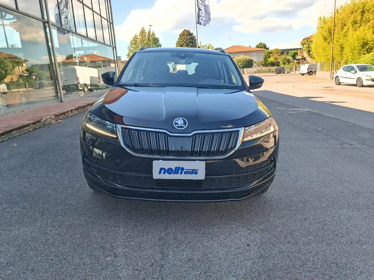 Skoda Karoq 1.6 TDI SCR DSG Ambition, миниатюра 25
