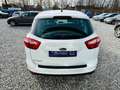 Ford C-Max SYNC Edition 1.6 PDC KLIMA Wit - thumbnail 5