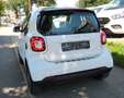 smart forTwo coupe Prime Leder*LED*Panorama* Weiß - thumbnail 5