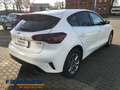 Ford Focus 1.0 EcoBoost MHEV Titanium Style LED SHZ ALU DAB Blanc - thumbnail 4