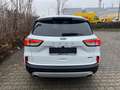 Ford Kuga Titanium Navi+Kamera+Winterpaket+Klima Weiß - thumbnail 6