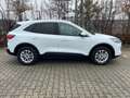 Ford Kuga Titanium Navi+Kamera+Winterpaket+Klima Weiß - thumbnail 4