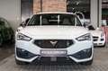 CUPRA Leon Kombi VZ|CUPRA SITZE|PANO|AHK|DCC|VOLL Blanc - thumbnail 5