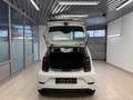 Volkswagen up! Basis Weiß - thumbnail 10