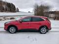 Ford Kuga Kuga 2,0 EcoBlue Hybrid Titanium X Titanium X Rot - thumbnail 10