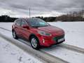 Ford Kuga Kuga 2,0 EcoBlue Hybrid Titanium X Titanium X Rot - thumbnail 12