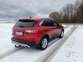Ford Kuga Kuga 2,0 EcoBlue Hybrid Titanium X Titanium X Rot - thumbnail 2
