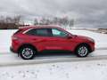 Ford Kuga Kuga 2,0 EcoBlue Hybrid Titanium X Titanium X Rot - thumbnail 8
