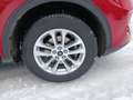 Ford Kuga Kuga 2,0 EcoBlue Hybrid Titanium X Titanium X Rot - thumbnail 9