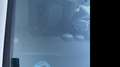 SEAT Ibiza 1.0 Style 75 Wit - thumbnail 16