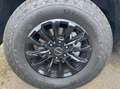 Foton Tunland V9 Tunland V9 ULTRA 2.0 turbo 48V 8at Violett - thumbnail 17