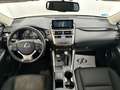 Lexus NX 300 300h Business Navigation 2WD Wit - thumbnail 16
