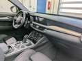 Alfa Romeo Stelvio Veloce Q4 NAVI SHZ LEDER AT Grau - thumbnail 10