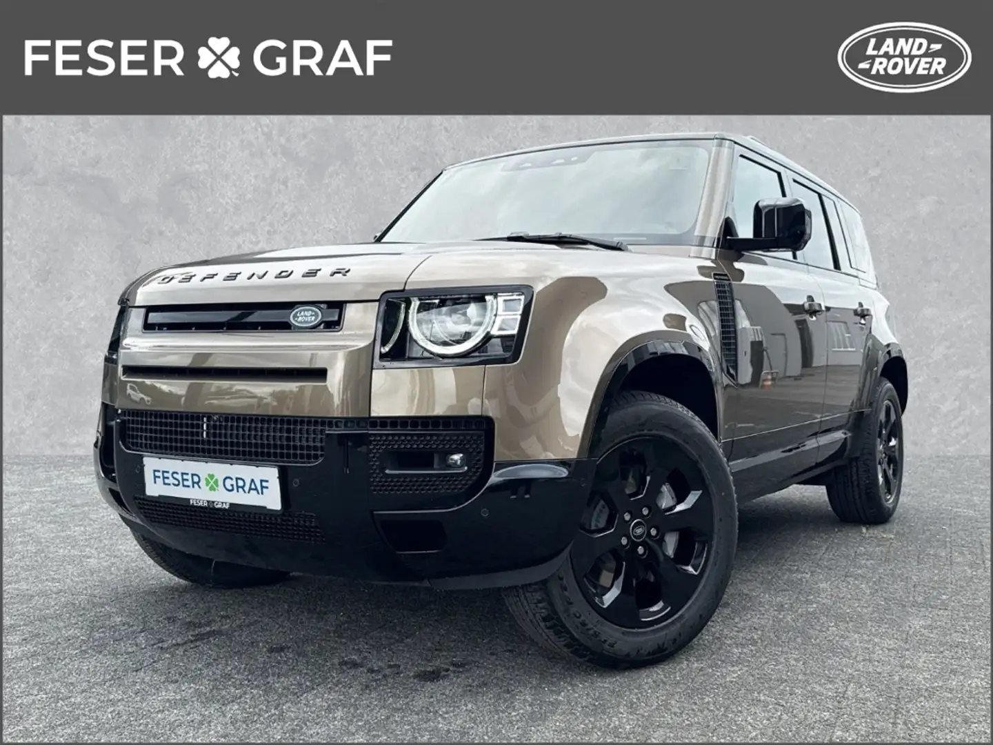 Land Rover Defender 110 X-Dynamic SE D300 I LR Bamberg Braun - 1