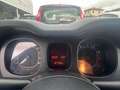 Fiat Panda 1.2 Lounge easypower Gpl 69cv - thumbnail 13