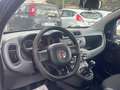 Fiat Panda 1.2 Lounge easypower Gpl 69cv - thumbnail 9