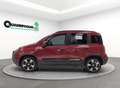 Fiat New Panda Panda 1.0 70cv Hybrid Pandina km0 - thumbnail 3