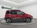 Fiat New Panda Panda 1.0 70cv Hybrid Pandina km0 - thumbnail 6