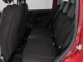 Fiat New Panda Panda 1.0 70cv Hybrid Pandina km0 - thumbnail 10