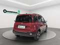 Fiat New Panda Panda 1.0 70cv Hybrid Pandina km0 - thumbnail 5