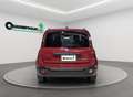 Fiat New Panda Panda 1.0 70cv Hybrid Pandina km0 - thumbnail 4