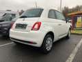 Fiat 500 Hatchback MY23 Weiß - thumbnail 3
